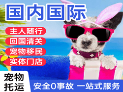 白云航空快递国际宠物托运 【国